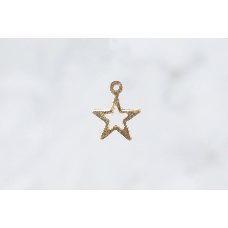 Load image into Gallery viewer, Lynx Star Charm - Gold Filled (Yellow)
