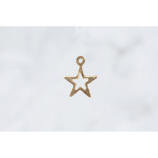 Lynx Star Charm - Gold Filled (Yellow)