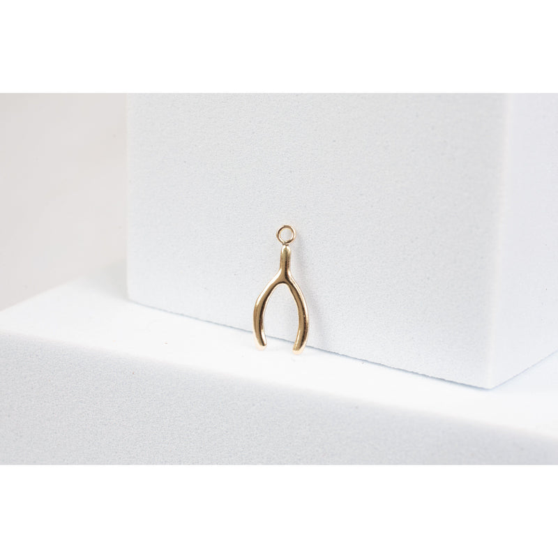 Load image into Gallery viewer, Wishbone Charm- Gold Filled (Yellow)
