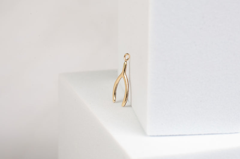 Load image into Gallery viewer, Wishbone Charm - 14K Gold Filled (Yellow)
