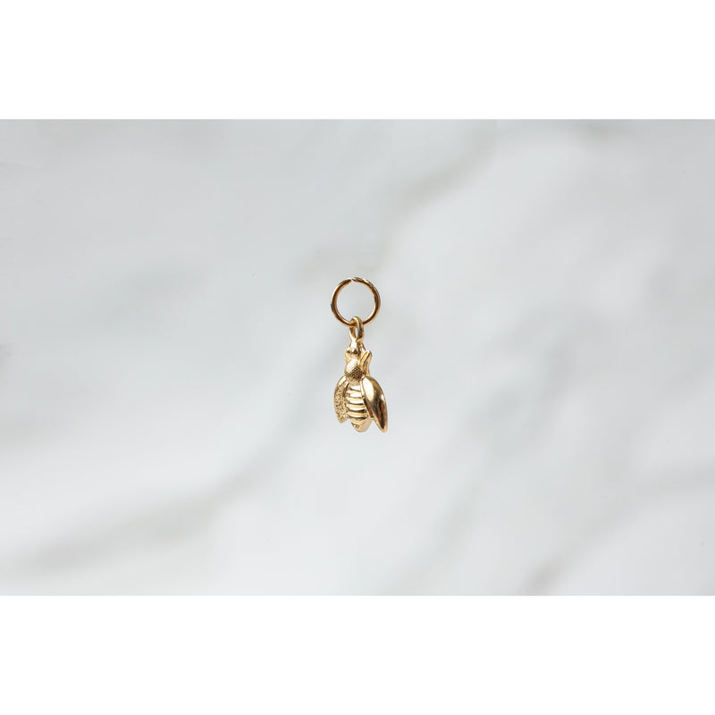 Load image into Gallery viewer, Cicada Charm- 14K Gold
