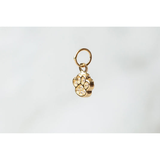 5.5mm 14K Yellow Gold Paw Charm With Cubic Zirconia