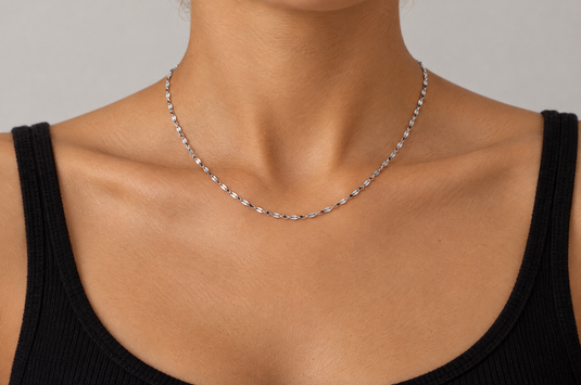 Elenor 2mm silver-tone stainless steel flat lip chain worn as a permanent necklace
