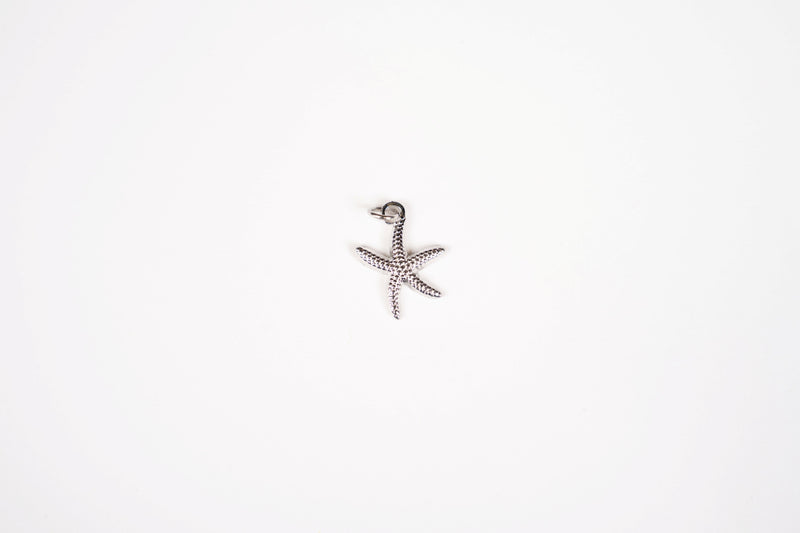 Load image into Gallery viewer, Patrick - 18K Gold PVD Stainless Steel Starfish Charm

